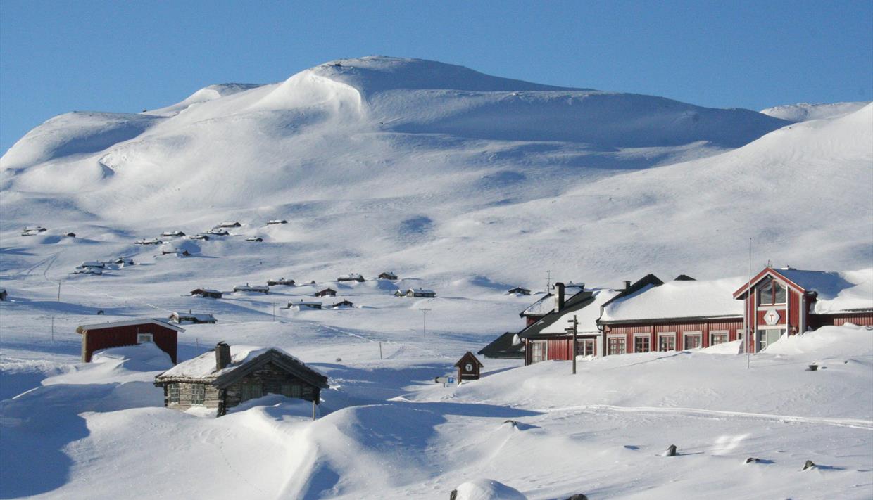 Fondsbu i vinterlandskap.