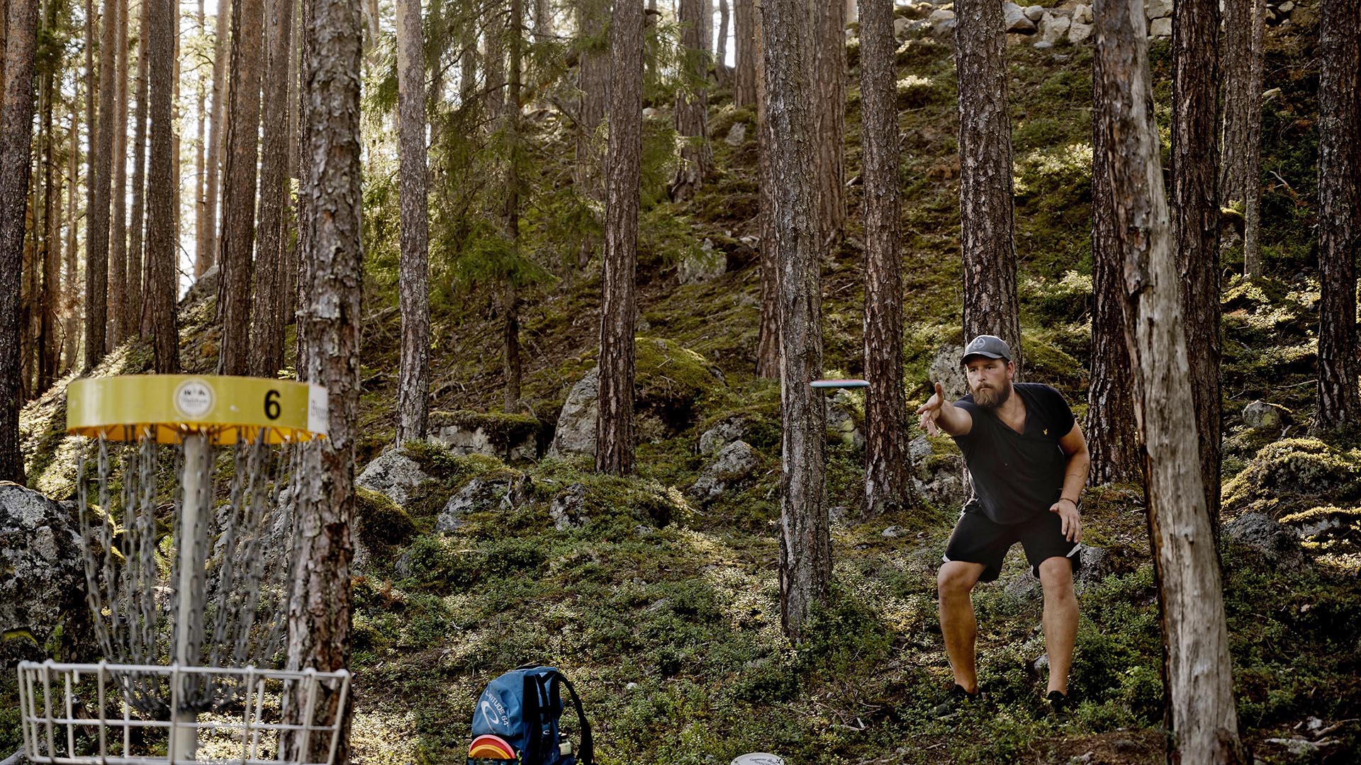 En mann kaster en frisbee mot en kurv i furuskog.