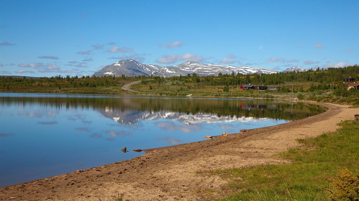 Veibom til hyttefelt